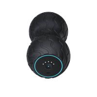 Theragun Wave Duo aparelho de massagem Universal Preto