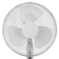 Imagem 4 do produto