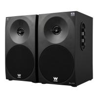 Woxter DL-410 BT 1-way Preto Com fios 150 W