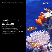 Imagem 11 do produto
